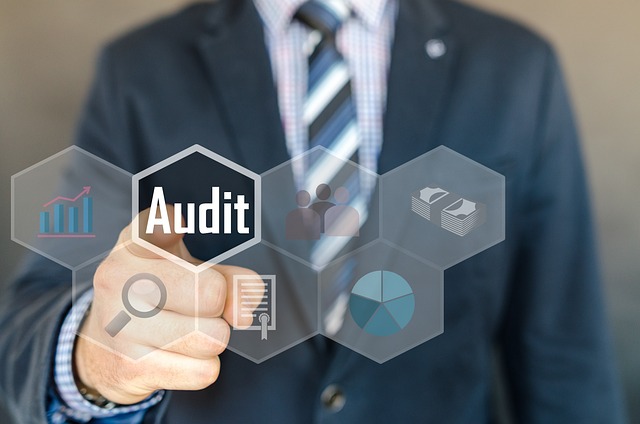 Tax and Audit Support 