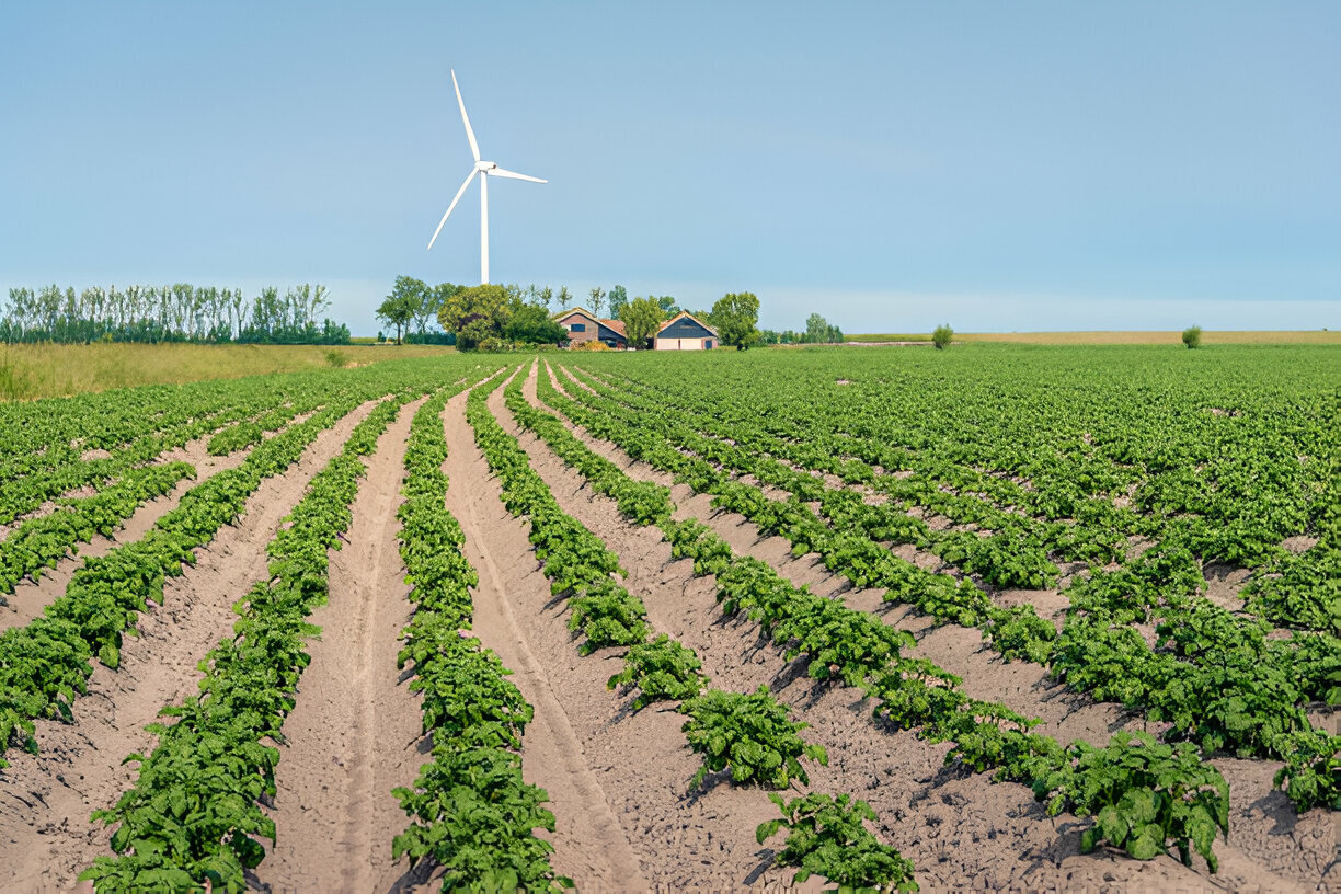 Organic Farming